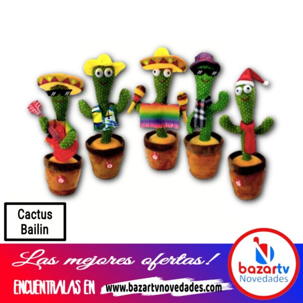 Cactus Bailarin - Imagen 2